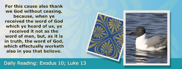 http://bibletruthpublishers.com/ComfortOfScriptures/wp-content/uploads/cos-hdg-2015-058.jpg
