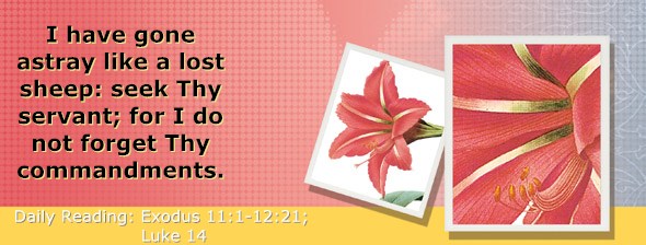 http://bibletruthpublishers.com/ComfortOfScriptures/wp-content/uploads/cos-hdg-2015-059.jpg