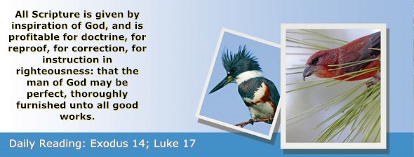 http://bibletruthpublishers.com/ComfortOfScriptures/wp-content/uploads/cos-hdg-2015-062.jpg