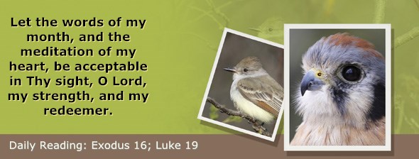 http://bibletruthpublishers.com/ComfortOfScriptures/wp-content/uploads/cos-hdg-2015-064.jpg
