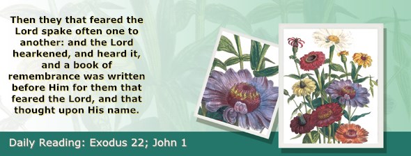 http://bibletruthpublishers.com/ComfortOfScriptures/wp-content/uploads/cos-hdg-2015-070.jpg