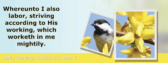 http://bibletruthpublishers.com/ComfortOfScriptures/wp-content/uploads/cos-hdg-2015-071.jpg