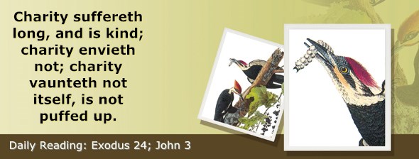 http://bibletruthpublishers.com/ComfortOfScriptures/wp-content/uploads/cos-hdg-2015-072.jpg