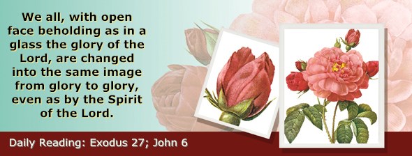 http://bibletruthpublishers.com/ComfortOfScriptures/wp-content/uploads/cos-hdg-2015-075.jpg