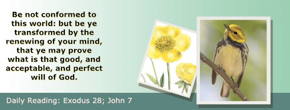 http://bibletruthpublishers.com/ComfortOfScriptures/wp-content/uploads/cos-hdg-2015-076.jpg