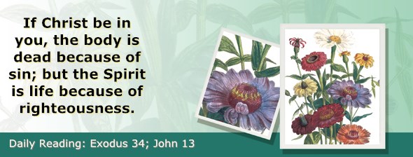 http://bibletruthpublishers.com/ComfortOfScriptures/wp-content/uploads/cos-hdg-2015-082.jpg