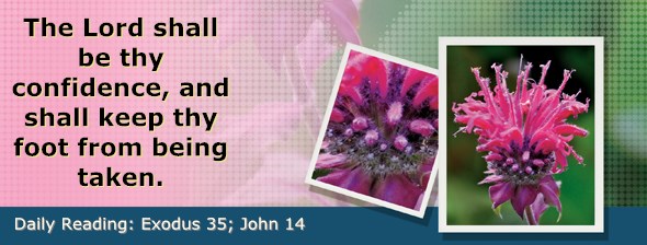 http://bibletruthpublishers.com/ComfortOfScriptures/wp-content/uploads/cos-hdg-2015-083.jpg