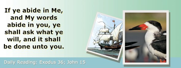 http://bibletruthpublishers.com/ComfortOfScriptures/wp-content/uploads/cos-hdg-2015-084.jpg