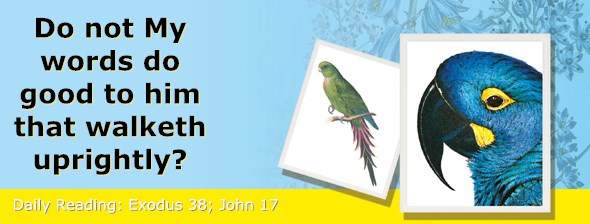 http://bibletruthpublishers.com/ComfortOfScriptures/wp-content/uploads/cos-hdg-2015-086.jpg