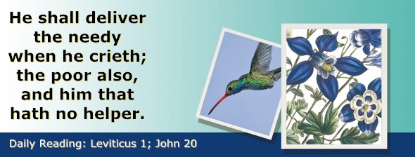 http://bibletruthpublishers.com/ComfortOfScriptures/wp-content/uploads/cos-hdg-2015-089.jpg