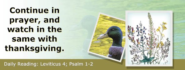 http://bibletruthpublishers.com/ComfortOfScriptures/wp-content/uploads/cos-hdg-2015-091.jpg