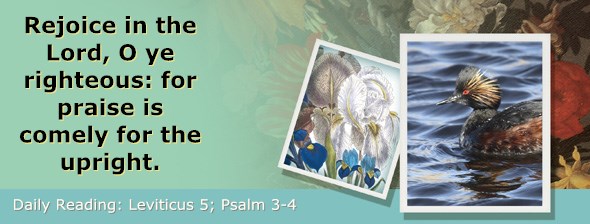 http://bibletruthpublishers.com/ComfortOfScriptures/wp-content/uploads/cos-hdg-2015-092.jpg