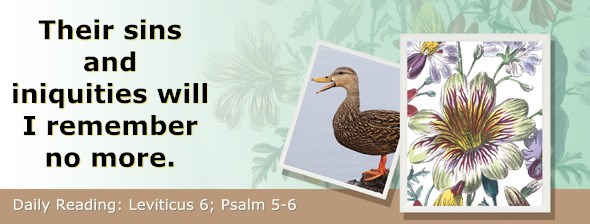 http://bibletruthpublishers.com/ComfortOfScriptures/wp-content/uploads/cos-hdg-2015-093.jpg
