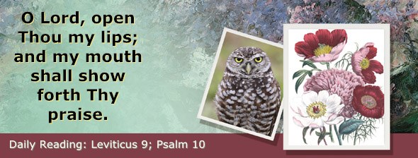 http://bibletruthpublishers.com/ComfortOfScriptures/wp-content/uploads/cos-hdg-2015-096.jpg