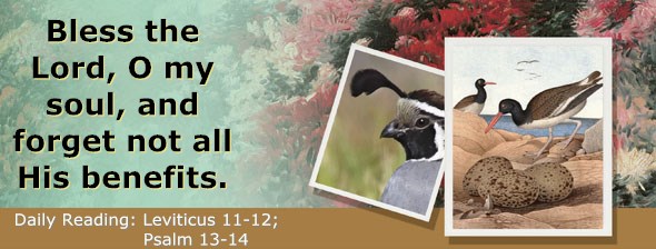 http://bibletruthpublishers.com/ComfortOfScriptures/wp-content/uploads/cos-hdg-2015-098.jpg