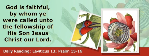 http://bibletruthpublishers.com/ComfortOfScriptures/wp-content/uploads/cos-hdg-2015-099.jpg