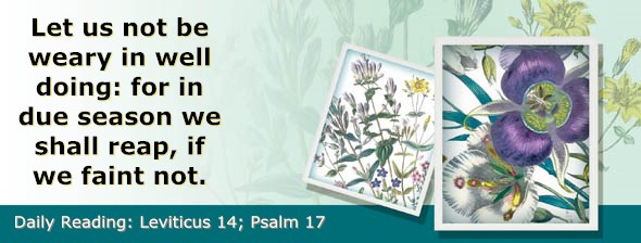 http://bibletruthpublishers.com/ComfortOfScriptures/wp-content/uploads/cos-hdg-2015-100.jpg