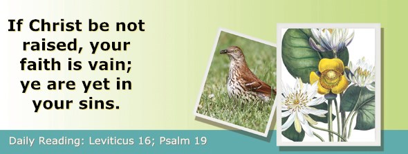 http://bibletruthpublishers.com/ComfortOfScriptures/wp-content/uploads/cos-hdg-2015-102.jpg