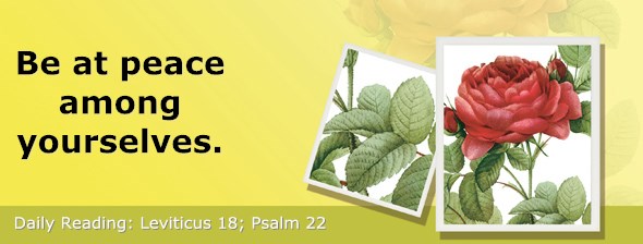 http://bibletruthpublishers.com/ComfortOfScriptures/wp-content/uploads/cos-hdg-2015-104.jpg