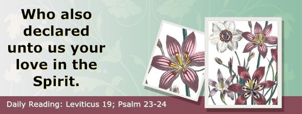 http://bibletruthpublishers.com/ComfortOfScriptures/wp-content/uploads/cos-hdg-2015-105.jpg