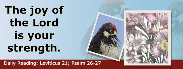 http://bibletruthpublishers.com/ComfortOfScriptures/wp-content/uploads/cos-hdg-2015-107.jpg