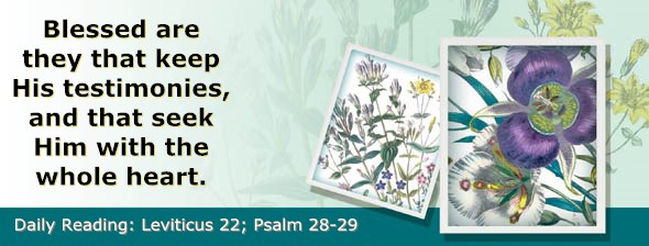 http://bibletruthpublishers.com/ComfortOfScriptures/wp-content/uploads/cos-hdg-2015-108.jpg
