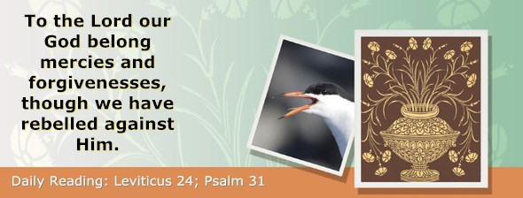 http://bibletruthpublishers.com/ComfortOfScriptures/wp-content/uploads/cos-hdg-2015-110.jpg