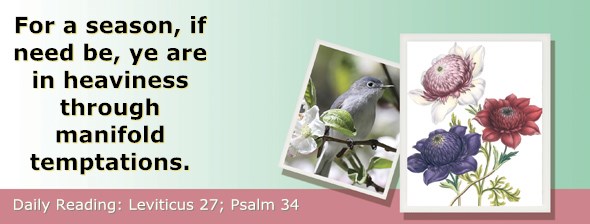 http://bibletruthpublishers.com/ComfortOfScriptures/wp-content/uploads/cos-hdg-2015-113.jpg