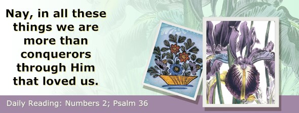 http://bibletruthpublishers.com/ComfortOfScriptures/wp-content/uploads/cos-hdg-2015-115.jpg