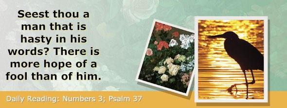 http://bibletruthpublishers.com/ComfortOfScriptures/wp-content/uploads/cos-hdg-2015-116.jpg