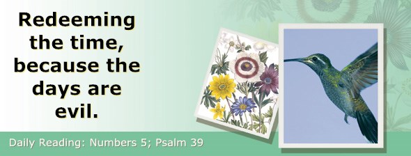 http://bibletruthpublishers.com/ComfortOfScriptures/wp-content/uploads/cos-hdg-2015-118.jpg