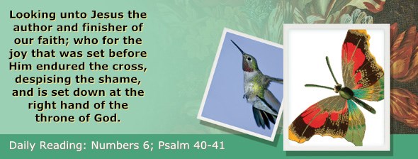http://bibletruthpublishers.com/ComfortOfScriptures/wp-content/uploads/cos-hdg-2015-119.jpg