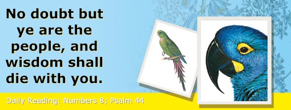 http://bibletruthpublishers.com/ComfortOfScriptures/wp-content/uploads/cos-hdg-2015-121.jpg
