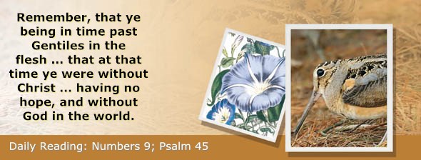 http://bibletruthpublishers.com/ComfortOfScriptures/wp-content/uploads/cos-hdg-2015-122.jpg