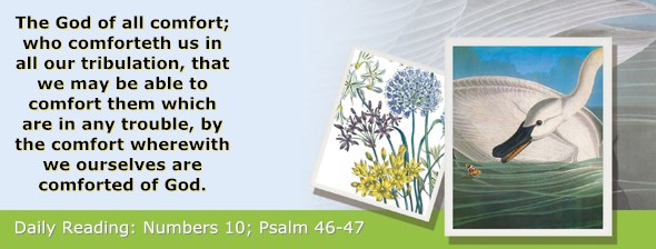 http://bibletruthpublishers.com/ComfortOfScriptures/wp-content/uploads/cos-hdg-2015-123.jpg