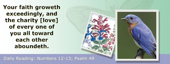 http://bibletruthpublishers.com/ComfortOfScriptures/wp-content/uploads/cos-hdg-2015-125.jpg