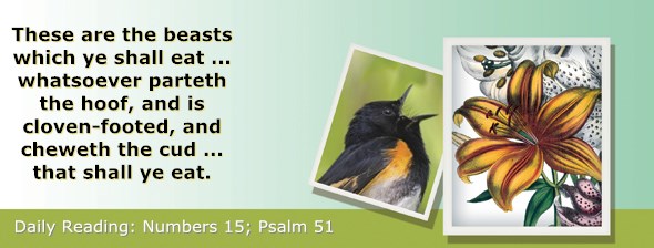 http://bibletruthpublishers.com/ComfortOfScriptures/wp-content/uploads/cos-hdg-2015-127.jpg