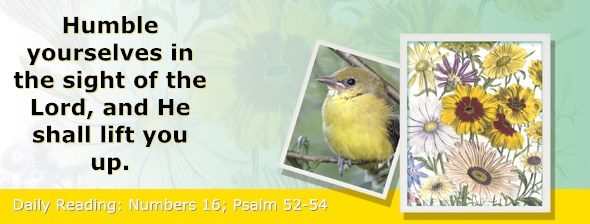 http://bibletruthpublishers.com/ComfortOfScriptures/wp-content/uploads/cos-hdg-2015-128.jpg