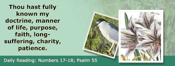 http://bibletruthpublishers.com/ComfortOfScriptures/wp-content/uploads/cos-hdg-2015-129.jpg