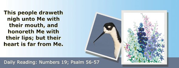 http://bibletruthpublishers.com/ComfortOfScriptures/wp-content/uploads/cos-hdg-2015-130.jpg