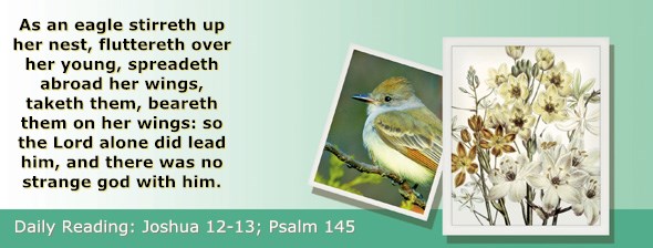 http://bibletruthpublishers.com/ComfortOfScriptures/wp-content/uploads/cos-hdg-2015-191.jpg