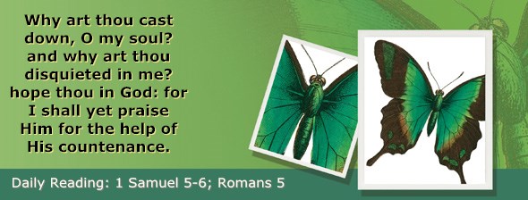 http://bibletruthpublishers.com/ComfortOfScriptures/wp-content/uploads/cos-hdg-2017-227.jpg