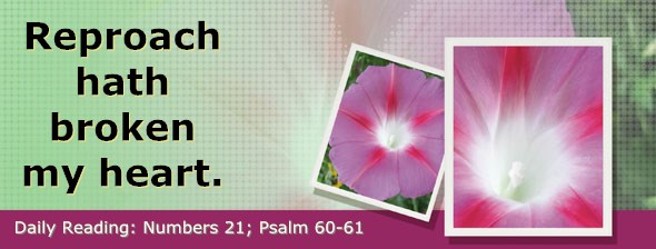 http://bibletruthpublishers.com/DailyLight/wp-content/uploads/dl-hdg-2017-264.jpg
