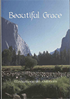 Meditations on the Epistle to the Galatians: Beautiful Grace by George Christopher Willis