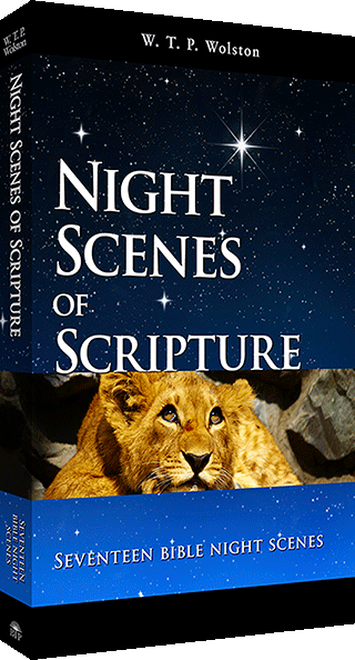 Night Scenes of Scripture by Walter Thomas Prideaux Wolston