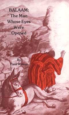 Balaam: The Man Whose Eyes Were Opened by Paul Wilson