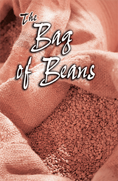 The Bag of Beans: REPLACED BY #41203.