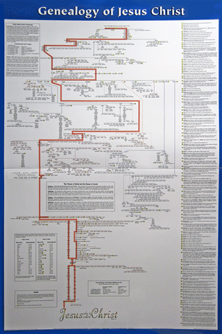 Genealogy of Jesus Christ: Wall Chart 514L by Rose Publishing