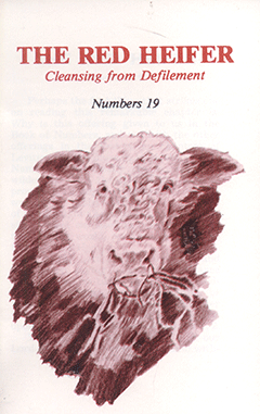 The Red Heifer: Cleansing From Defilement