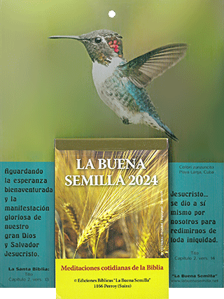 2024 Spanish Calendario La Buena Semilla